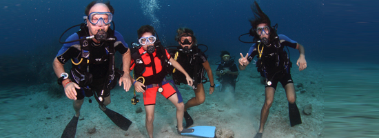 Viva Wyndham Fortuna Beach: Kurs PADI Open Water Diver oraz 7 nocy w hotelu All Inclusive 